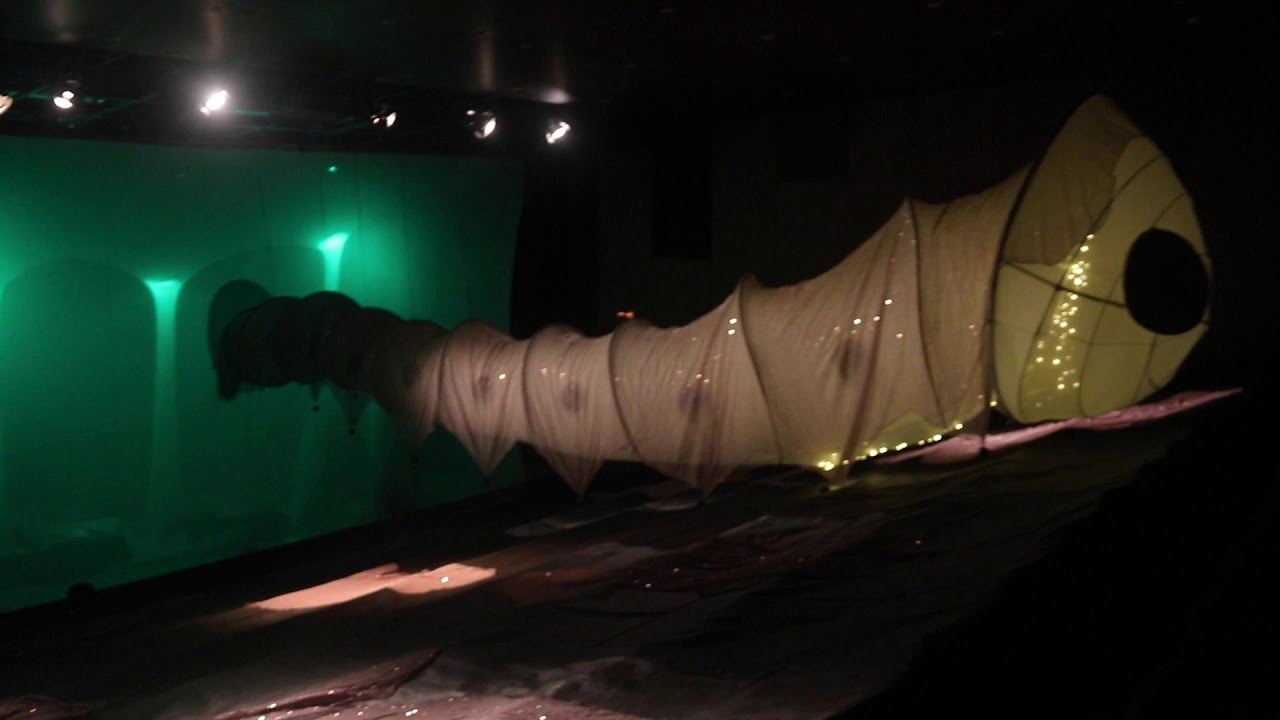 Vídeo Resumo | IndieJúnior Allianz 2020