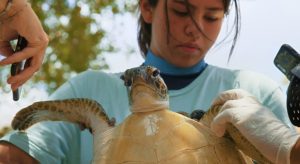 Julieta e a Sopa de Plástico das Tartarugas