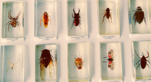 Oficina: Novo Normal