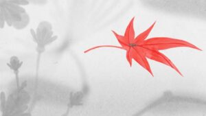 A Marcha das Formigas