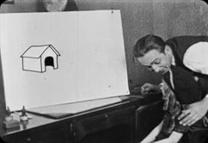 O País das Maravilhas da Alice