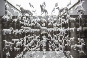 Um Mundo dentro de Outro: Explorar os Ecossistemas